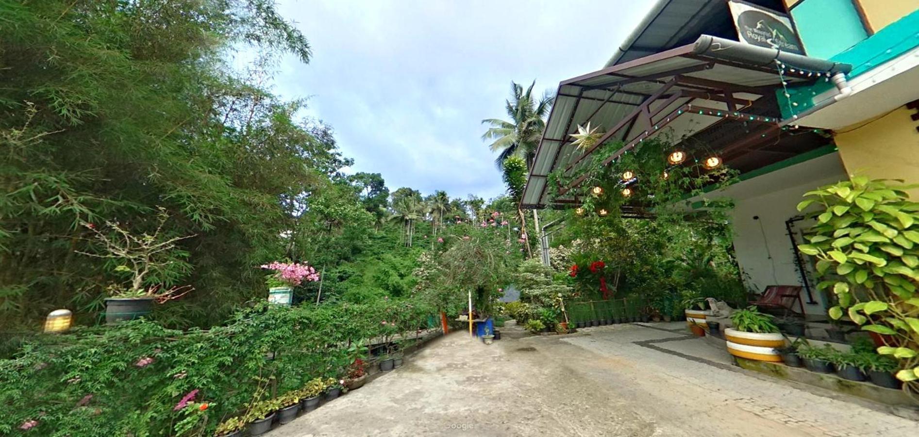 Wayanad Royal Stream Bed & Breakfast Kalpatta Ngoại thất bức ảnh