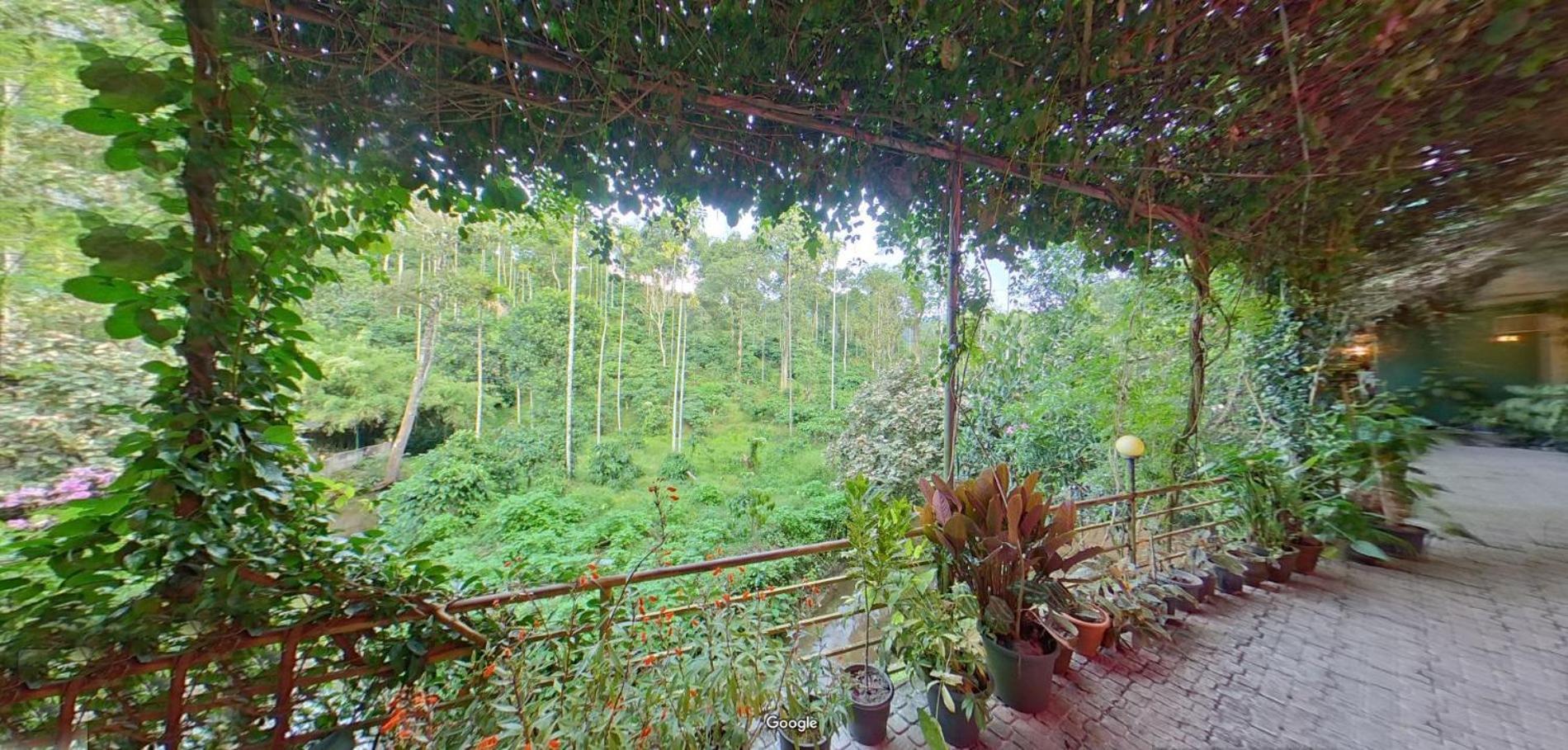 Wayanad Royal Stream Bed & Breakfast Kalpatta Ngoại thất bức ảnh