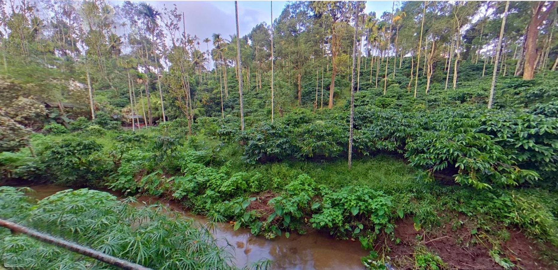 Wayanad Royal Stream Bed & Breakfast Kalpatta Ngoại thất bức ảnh