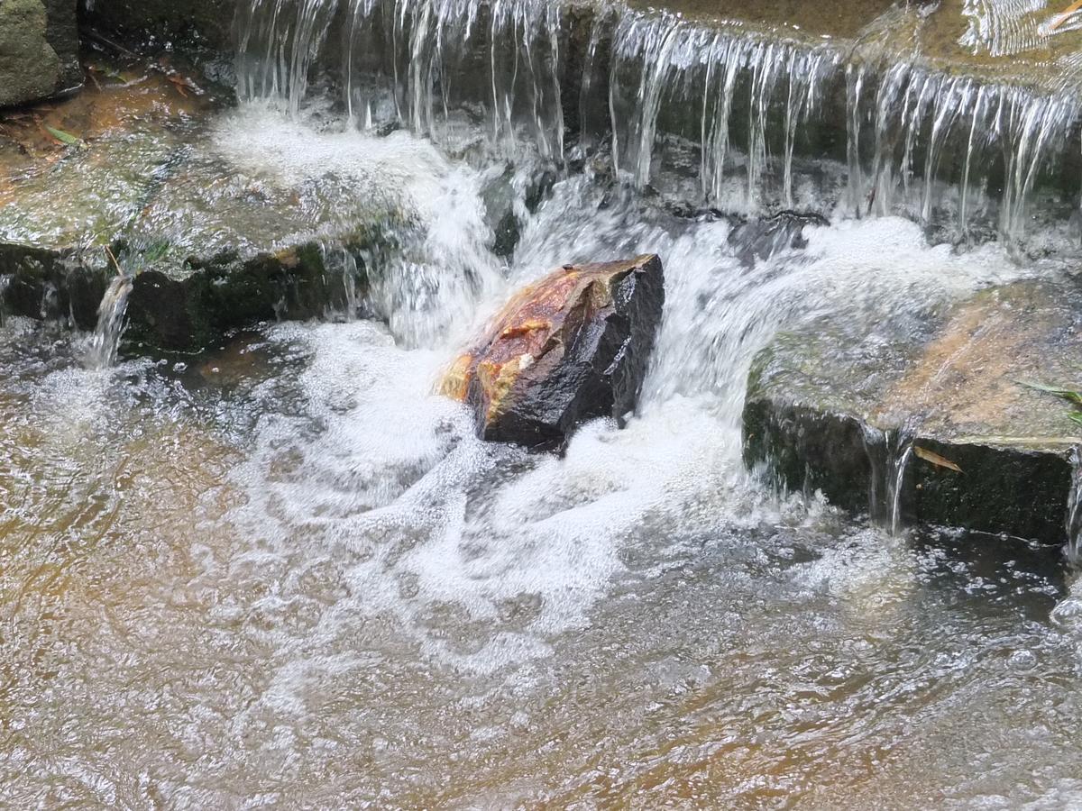 Wayanad Royal Stream Bed & Breakfast Kalpatta Ngoại thất bức ảnh